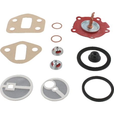 Fuel Lift Pump Kit - 4222125M91