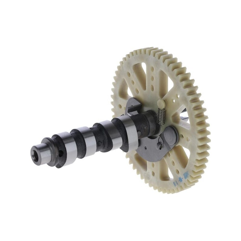Cam Shaft Combination - 418068 Cam Shaft Combination - 418068