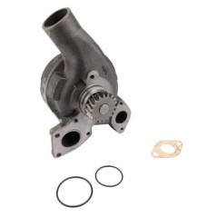 Water pump - 4223566M91KR