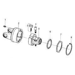 Cam with Spring kit - 4210C0001R03