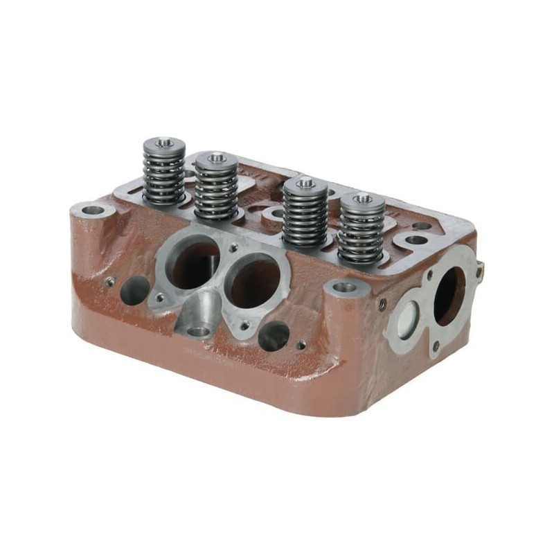Cylinder head complete - 42022020 Cylinder head complete - 42022020