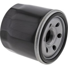 418138 AL-KO, Filter 