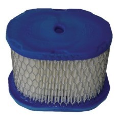 4207WM Briggs & Stratton, Filter 