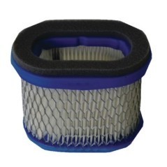4207WM Briggs & Stratton, Filter 