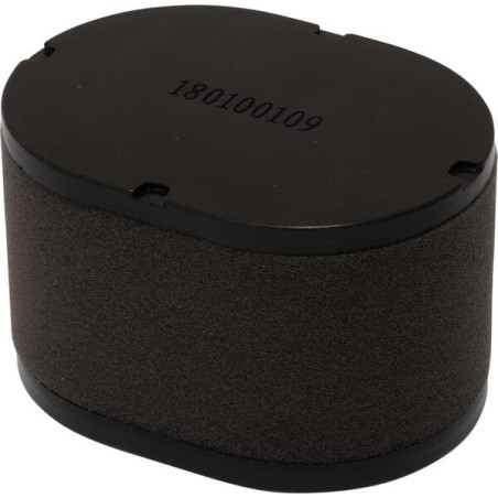 Air filter - 418110