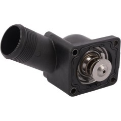 4224636M91 AGCO, Thermostate 