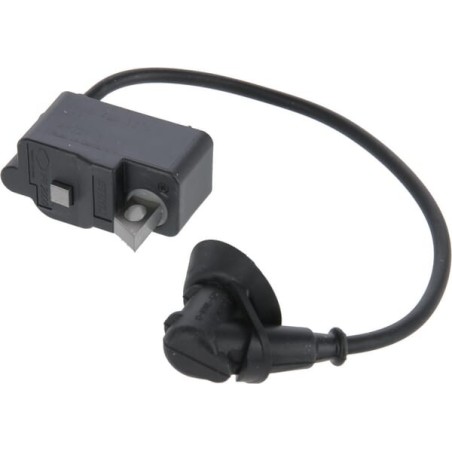 Ignition module - 42384001307