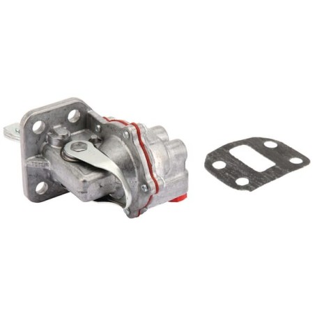 Kraftstoffpumpe - 4225098M91KR