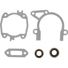 Gasket set - 42380071003KR