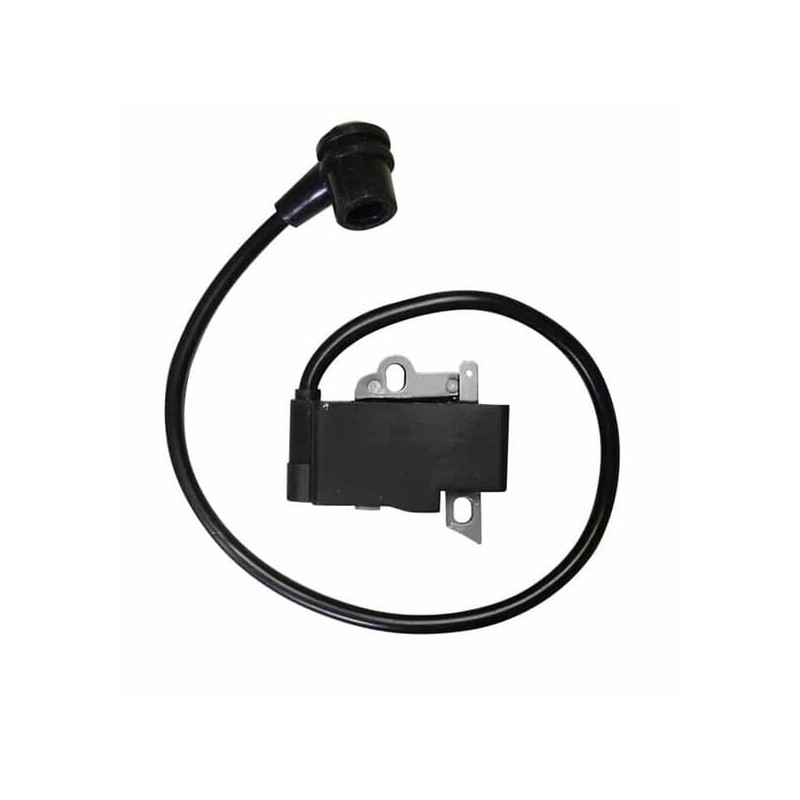 Ignition module - 42384001307KR Ignition module - 42384001307KR