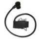 Ignition module - 42384001307KR Ignition module - 42384001307KR