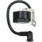 Ignition module - 42294001300KR