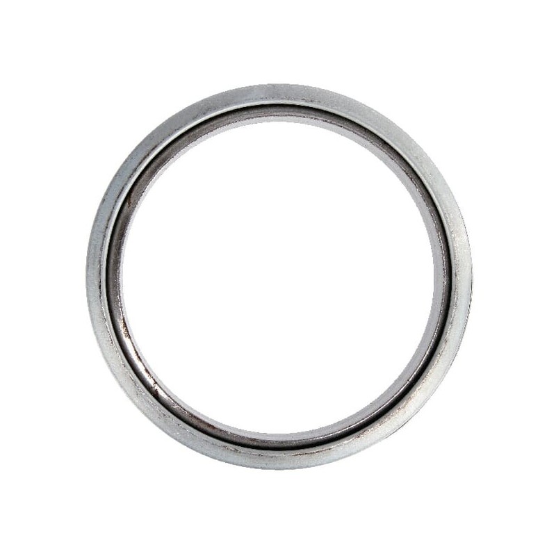 Gasket SDF - 4230198 Gasket SDF - 4230198