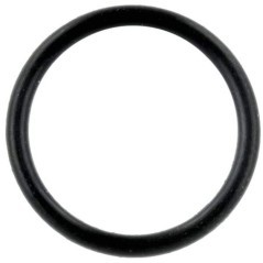 Nozzle Holder O-Ring - 4225847M1