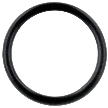 Düsenhalterungs-O-Ring - 4225847M1