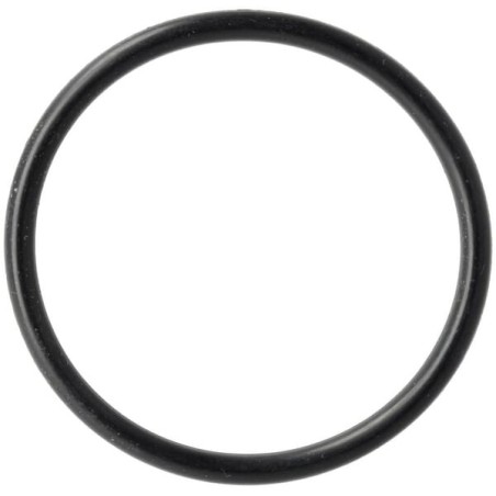 O-Ring 8.7.6.00954 - 435887600954