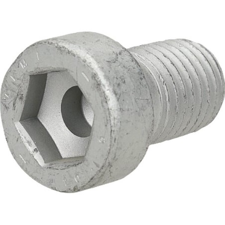 Non-standard screws – produkty dostępne w rolniczeczesci.pl