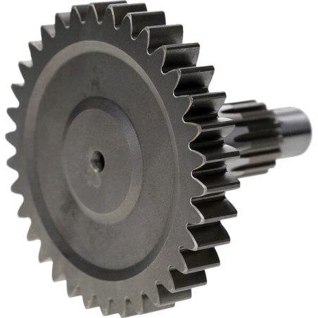 Zahnrad mit Welle - 43580505500000