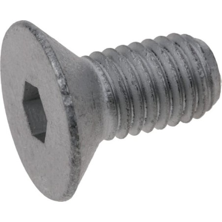 Bolt 8.1.3.01864 - 435881301864