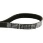 Pas - 4350583M2 Pas - 4350583M2
