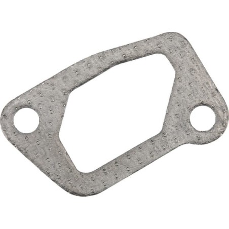 Exhaust gasket - 4420030