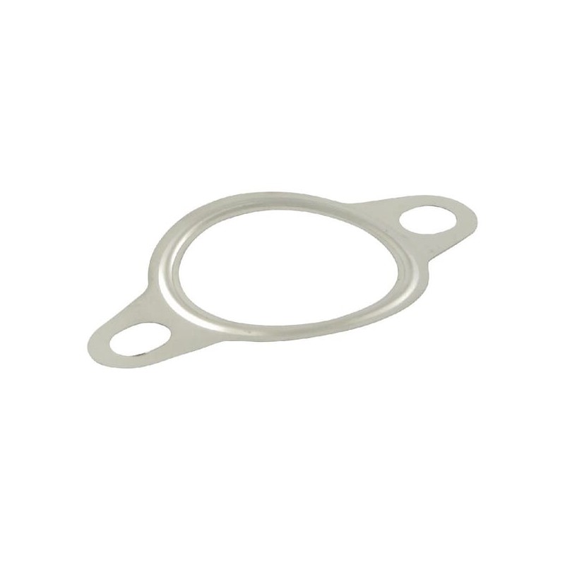 Exhaust gasket - 4420076 Exhaust gasket - 4420076
