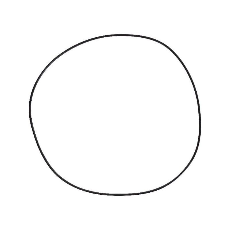 Gaskets - 4306809M1 Gaskets - 4306809M1