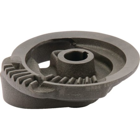 cam gear RS 6067 EM10 - 43071