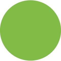 Torgriff Neon Grün - 44959
