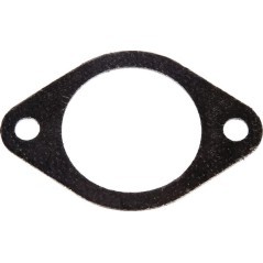 4500079 Lombardini, Dichtungen 