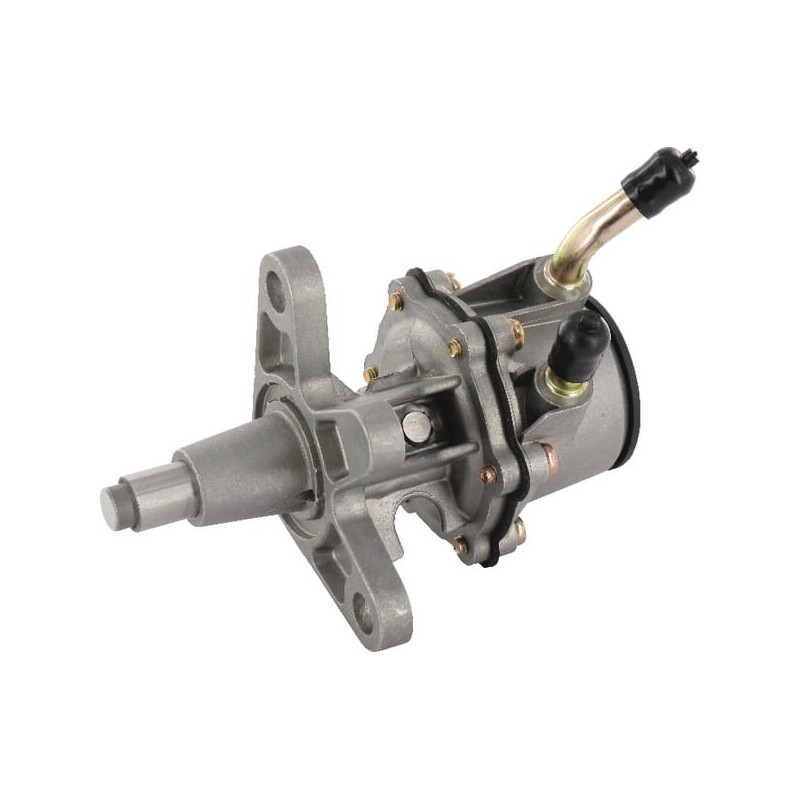 Kraftstoffpumpe SDF - 4272819 Kraftstoffpumpe SDF - 4272819