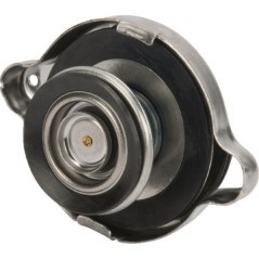 Expansion Tank Cap - 4296015M1
