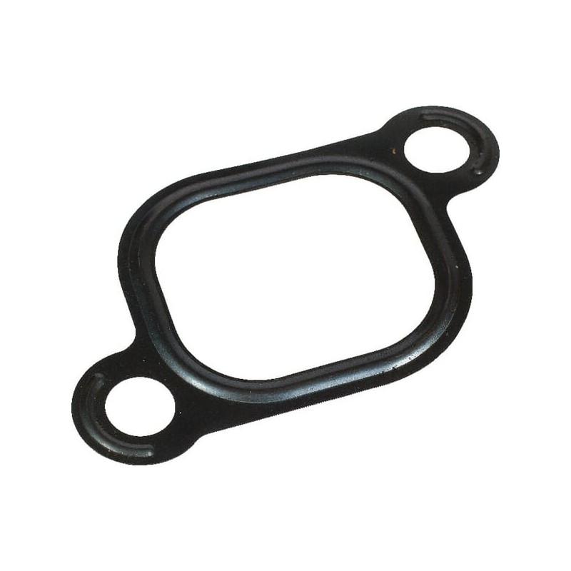 Gasket - 4501101 Gasket - 4501101