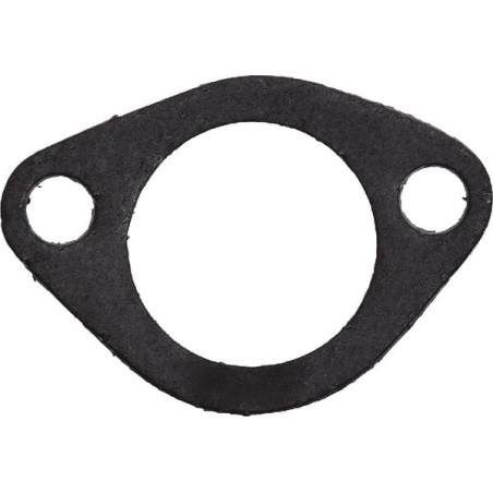 Dichtung Rugerini - 451R024