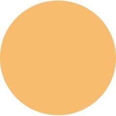 Torgriff Neon Orange - 44960