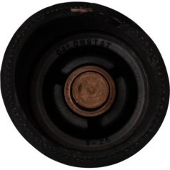 4556746N Raico, Thermostats 