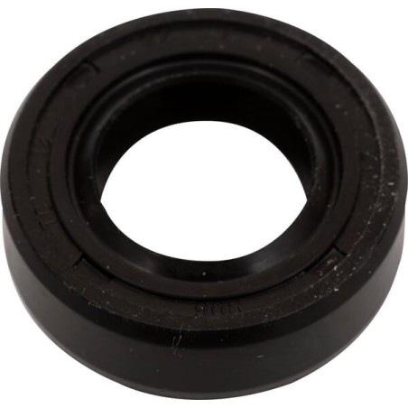 Oil Seal - 462558