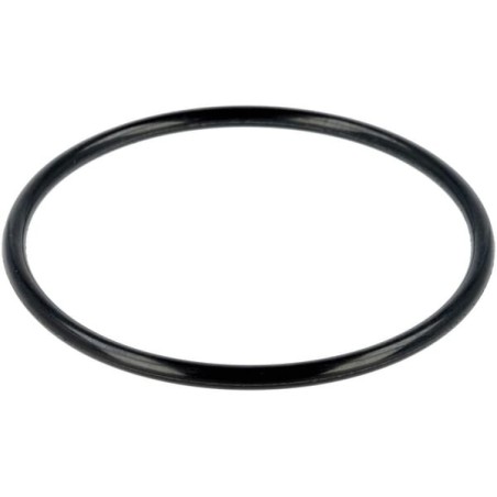 O-ring 55x3.1 - 463554