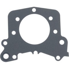 4580216 Lombardini, Dichtungen 