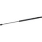 Feder - 47126776