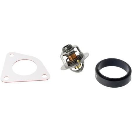 Maxxum thermostat - 47616858