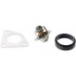 Termostat Case IH - 47616858