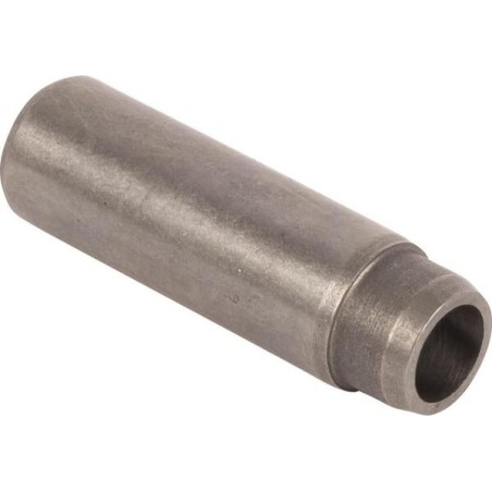 Valve guide Std - 4845200
