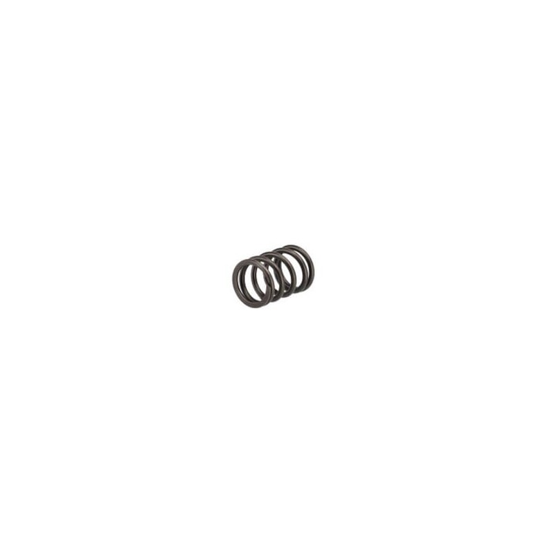 Ventilfeder - 4812347FPT Ventilfeder - 4812347FPT