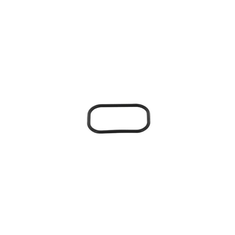 O-Ring - 4847092FPT O-Ring - 4847092FPT