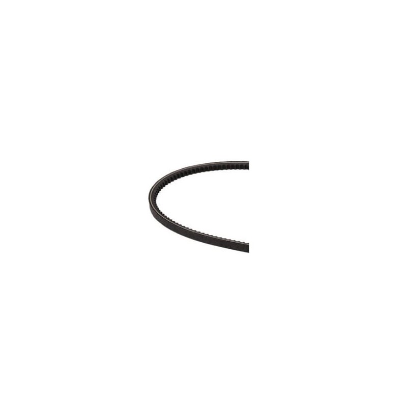 V-belt - 4809679FPT