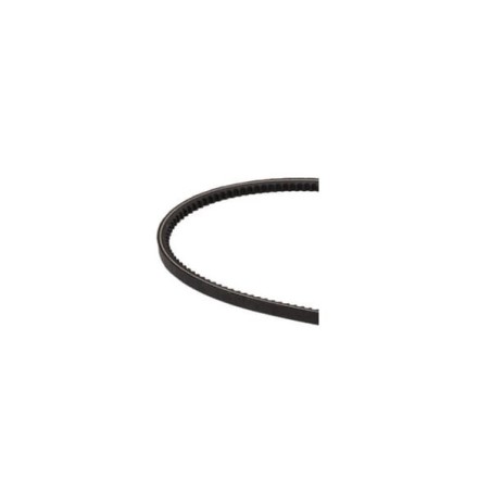 V-belt - 4809679FPT