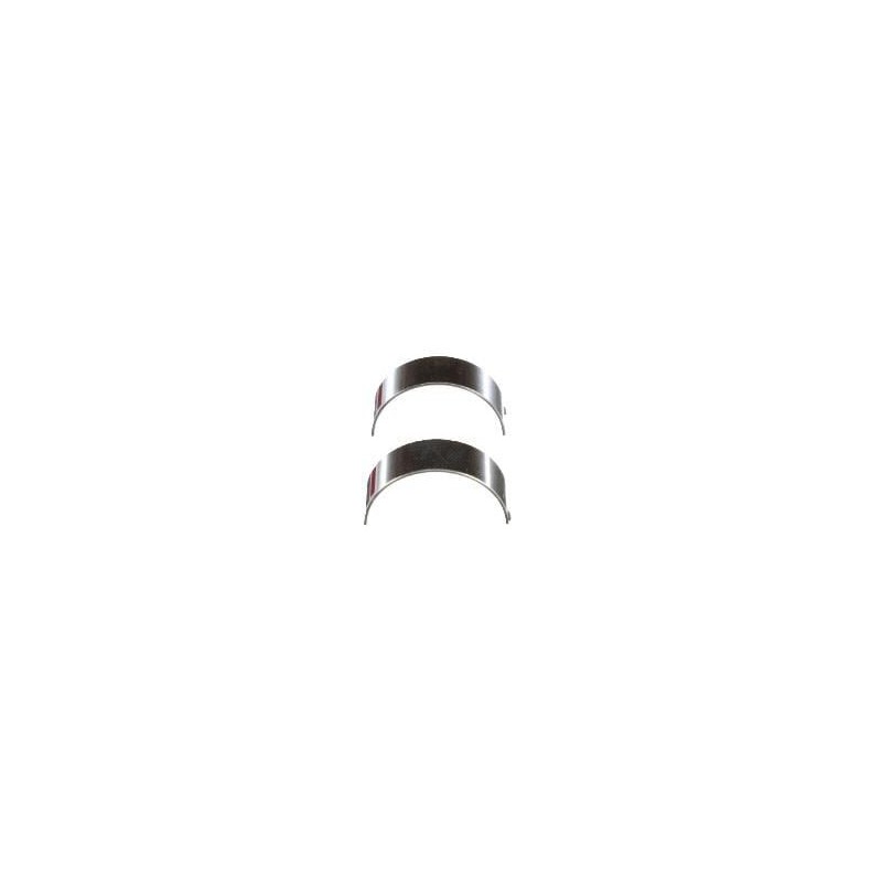 Pleullager 0,25 - 500055463FPT Pleullager 0,25 - 500055463FPT