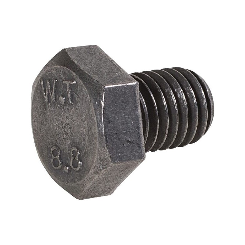 Bolt M6S M12x16 8.8 - 50001201621 Bolt M6S M12x16 8.8 - 50001201621