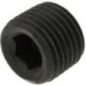 Crancshaft screw - 5000559N